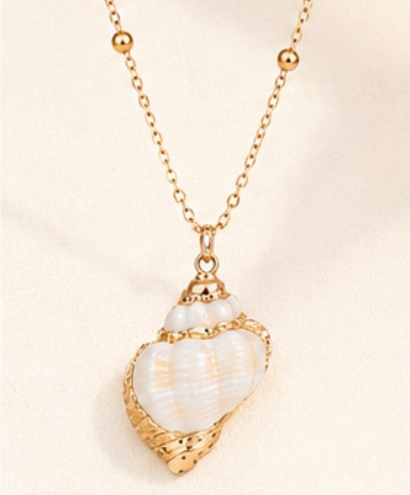 Heart shell necklace